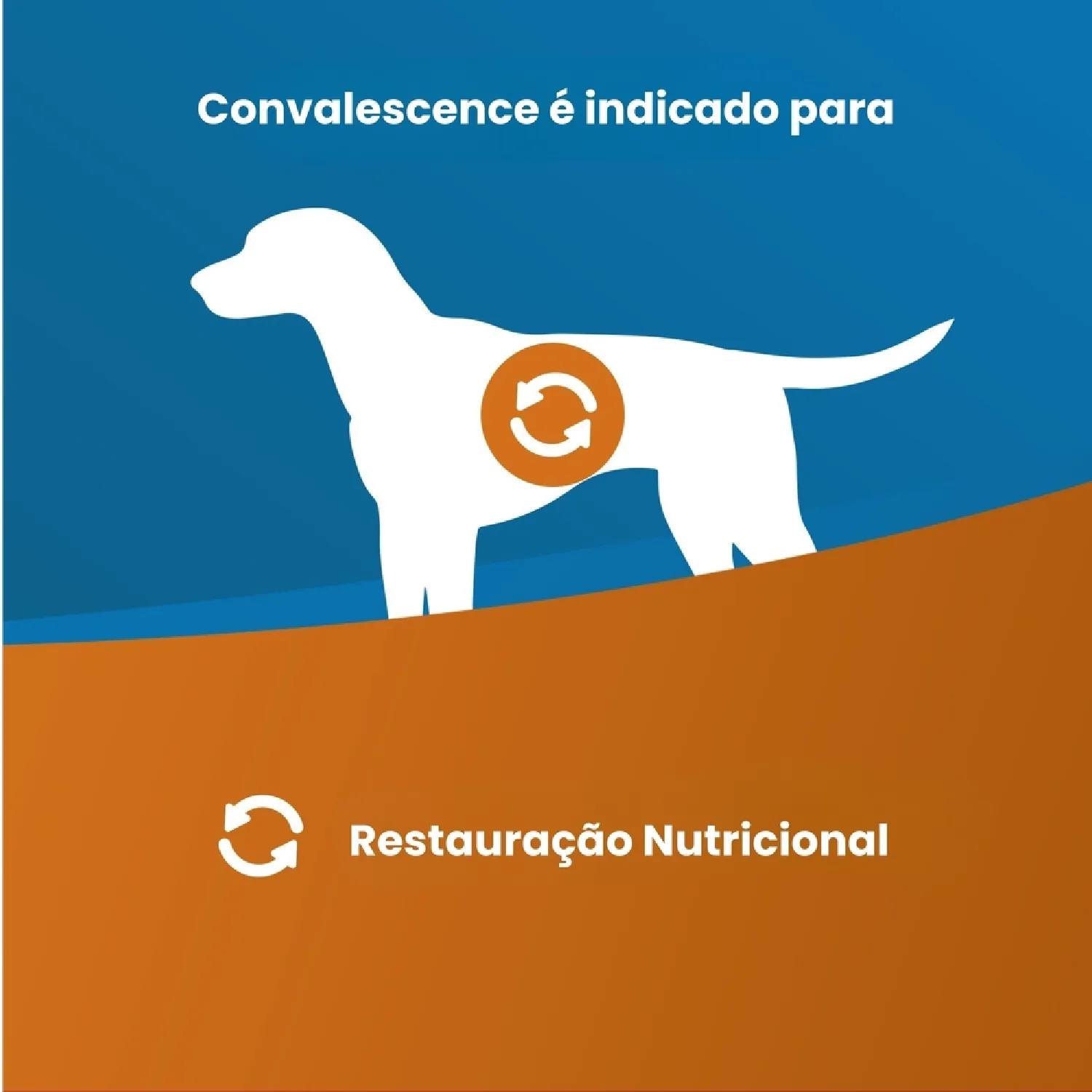 Racao Umida Vet Life Convalescenca para Caes 2
